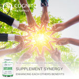 Cognito Naturals CAFFEANINE 100mg Caffeine + 200mg L-Theanine (240 Servings), Perfectly Balanced Smooth Energy, Premium Caffeine L-Theanine Supplement