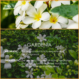 Gardenia Essential Oil 4 Fl Oz (120ml) - Pure and Natural Fragrance Oil, Gardenia Oil for Aromatherapy, Diffusers, Candle Making, Massage, Soap, Perfume
