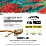 Ambrosia Irish Sea Moss Capsules | High Dose 500 mg/Serving | Made with Organic Sea Moss | Veggie Capsules