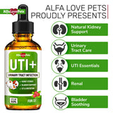 Cat UTI & Dog UTI Treatment ✿ Kidney Support for Cats ✿ Dog UTI ✿ Cat Urinary Tract Infection Treatment ✿ Kidney Support for Dogs ✿ Dog Urinary Tract Infection Treatment ✿ Made in USA ✿ 2 Oz