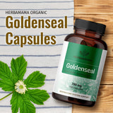 HERBAMAMA Goldenseal Root Capsule Supplement - Organic Goldenseal Herb Powder Pills - Respiratory & Digestive Function - 100 Capsules