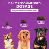 NOOTIE ProgilityMAX Calming Aid Chews for Dogs, Maximum Strength Calming Support for Dogs with Melatonin, 12 Single-Serve Bars, 4 Chews Per Bar