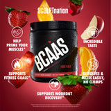 Sculpt Nation by V Shred BCAA Powder - Powerful Amino Acids Blend to Support Recovery and Endurance, Branch Chain Essential Amino Acids, Fruit Punch - 30 Servings