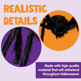 JOYIN 5 Ft. Halloween Outdoor Decorations Hairy Spider,Scary Giant Spider Fake Large Props for Yard Party Decor, Black