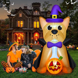 MICOCAH 5 FT Outdoor Halloween Inflatables French Bulldog Wearing Witch Hat & Vampire Cloak Holding Pumpkin, Built-in LEDs Inflatable Dog Halloween Blow Up Decorations for Yard Indoor Party Garden