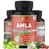 Organic Amla Capsules 2250mg & Arjuna, Garlic |Natural Vitamin C Supplements, High Antioxidants, Rejuvenator |Supports Immunity, Energy Booster |Gluten Free Vegan India Amalaki Extract Fruit, 120 Caps