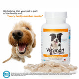 Pet Probiotics for Dogs Supplement - Supports Digestive Enzymes for Nutrient Absorption - 15 Billion Active Probiotic Cultures Attack Inflammation to Prevent Infection