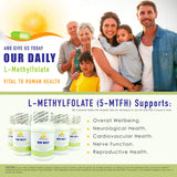 Our Daily Vites L-Methylfolate 7.5 mg / 7500 mcg Maximum Strength Active Folate, 5-MTHF, Filler Free, Gluten Free, Non-GMO, Vegetarian Capsules 90 Count (3 Month Supply) (90)