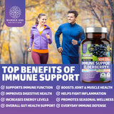 2 Pack N1N Premium 10 in 1 Immune Support Supplement [10 Potent Ingredients] with Elderberry, Vitamin C, Zinc, Echinacea, Turmeric Curcumin, Garlic and Probiotics for Adults, 120 Veg Caps