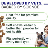 Pawsential Advanced Dog Probiotics & Digestive Enzymes |Gut Health| Chews for Digestion, Allergy Yeast, Itchy Skin- Prebiotics Fiber Supplement - Diarrhea Constipation Gas Upset Stomach Relief Treats