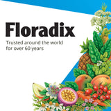 Floradix, Kinder Love Vegan Gluten-Free Children's Liquid Multivitamin for Healthy Development, 8.5 Fl Oz