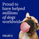 PetLab Co. ProBright Dental Powder - Dog Breath Freshener - Teeth Cleaning Made Easy – Targets Tartar & Bad Breath - Formulated for Large Dogs