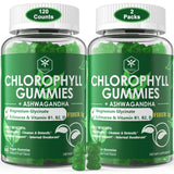 Chlorophyll Ashwagandha Gummies 200mg, with Fiber, Magnesium Glycinate, Echinacea, Vitamin D B1 B2 for Internal Deodorant, Healthy Skin, Comfort Digestion, Metabolism Support, Fresh Body Odor, 2 Packs