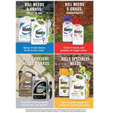 Roundup Ready-To-Use Extended Control Weed & Grass Killer Plus Weed Preventer II Trigger