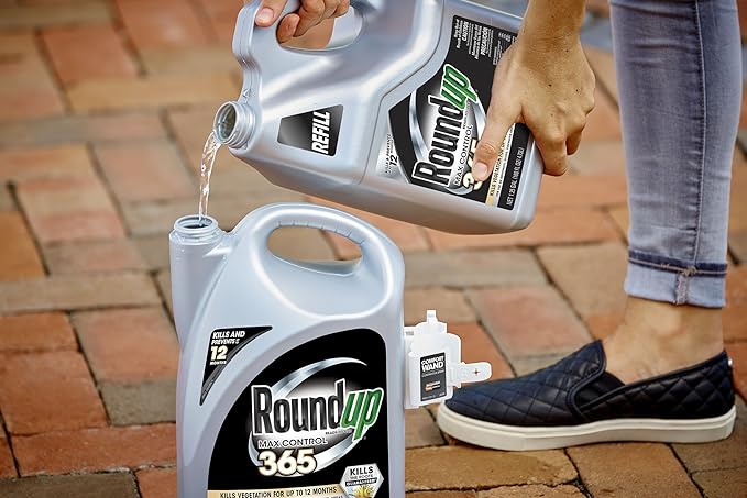 Roundup 5000710 Ready-to-Use Max Control 365 Refill, 1 Pack,