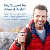 Allergy Research Group Adrenal Support Supplement for Men & Women - Adrenal Glandular Supplement, Immune Function, Endocrine Support, 100mg Adrenal Extract, Bovine, Lyophilized - 150 Count