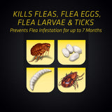 Black Flag 11093 B00PVN1ST8 Extreme Flea Killer Plus Growth Regulator RTU for Insects, 1-gal & Hot Shot Fogger with Odor Neutralizer, Kills Roaches, Ants, Spiders & Fleas