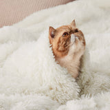 Bedsure Soft Cream Throw Blanket for Couch, Fluffy Fuzzy Blankets & Throws for Bed, Sofa, Cozy Plush Sherpa Fleece Faux Fur Blanket, Thick Warm Christmas Blanket Gifts for Women, Men, 50x60