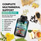 Botanify Sea Moss 7000mg, Black Seed Oil 4000mg, Ashwagandha 2000mg, Turmeric 2000mg, Bladderwrack 2000mg, Burdock 2000mg, Ginger, Vitamin C, Vitamin D3, Elderberry, Manuka, Dandelion, Yellow Dock