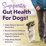 iHeartDogs 3-in-1 Probiotic for Dogs with Pumpkin for Improved Digestion & Gut Health - Dog Probiotics and Digestive Enzymes, 90 Count