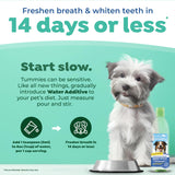 TropiClean Fresh Breath Advanced Whitening | Dog Oral Care Water Additive | Dog Breath Freshener Additive for Dental Health | VOHC Certified | Made in the USA | 16 oz.