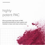 ellura 36mg PAC: Get Ahead of UTIs with clinically-Proven, 100% bioavailable PAC, 90 Capsules