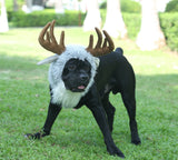 Funny Moose Costumes for Dog, Cute Furry Pet Wig for Halloween Christmas, Pet Clothing Accessories (Moose, Size L)