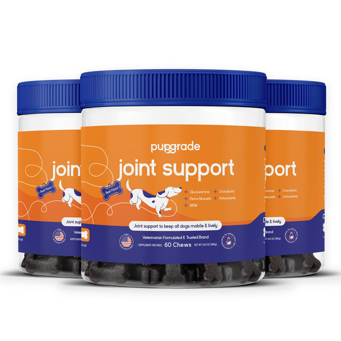 PupGrade Joint Support Supplement for Dogs - Natural Glucosamine Chondroitin with MSM - Hip & Joint Pain Relief - Recommended for Hip Dysplasia, Arthritis & Joint Disease - USA Tested - 180 Chews