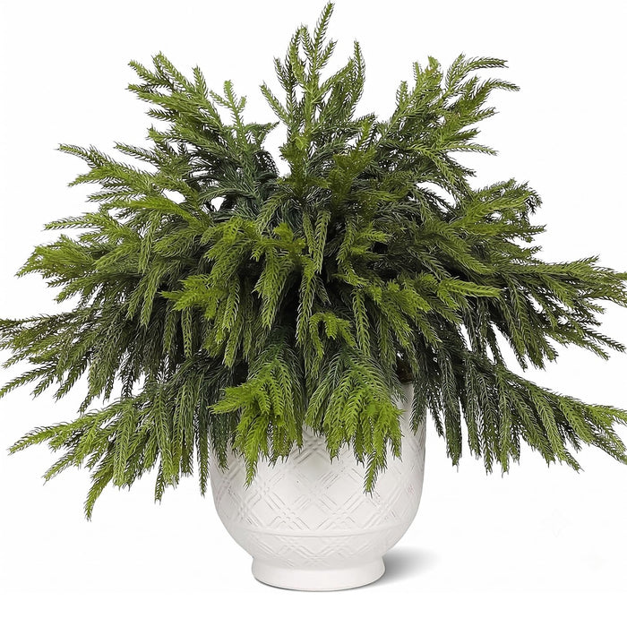 CCPanda 20 Pcs Christmas Artificial Norfolk Pine Branches 18" Real Touch