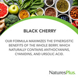 Natures Plus Herbal Actives Black Cherry, Extended Release - 750 mg Anthocyanins, 30 Vegetarian Tablets - 30 Servings
