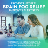 Dr Lewis Nutrition Brain Supplements for Memory and Focus with BiAloe - Plant-Based Daily Brain Care Cognitive Supplement and Nootropic Brain Support Supplement - Immunity and Energy - 120 Capsules