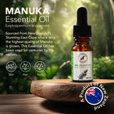 New Zealand Manuka Oil | 100% Pure Organic Essential Oil | 35x Stronger Than Organic Tea Tree Oil | Natural and Effective Skin Care | Plant Therapy Essential Oils for Body, Nails, Hair, Skin & Lips