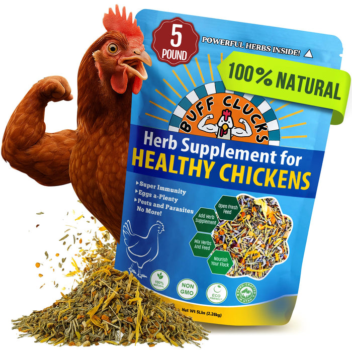 Buff Clucks Herb Supplement for Backyard Chickens - Natural Chicken Treats, Poultry Feed Botanical Mix, Plant-Based Coop Snacks for Daily Wellness, Feather Quality, Egg Production, USA (5 LB)