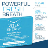 Viter Energy Caffeinated Gum 60mg Caffeine, B Vitamins, Guarana, Sugar Free. (Wintergreen, 12pcs, 6 Pack)