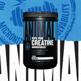 Animal Micronized Creatine Monohydrate Powder - Delays Muscle Fatigue, Supports Muscle Growth, Endurance, ATP Production, Cognitive Function, Strength, and Recovery for Men & Women - Unflavored, 500g