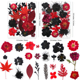 141PCS Black Red Dried Pressed Flowers for Resin - Youthbro Real Nature Flowers Butterfly Stikers Set for Christmas DIY Candle Soap Vase Making Nail Card Scrapbook Art Craft Floral Decors