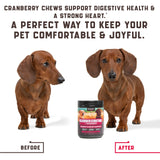 180 Cranberry Chews - Dog Cranberry Supplement - Natural Aid for Urinary Tract, Bladder, Kidney Health - Immune Support for Dogs of All Ages and Breeds - American Quality - Duck Flavor