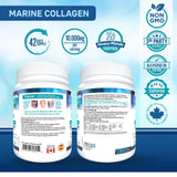 Bio Absorb Marine Collagen Powder, Extra Strength w/Peptan (Type 1 Hydrolyzed Collagen Peptides), 15 oz, 42-day Supply