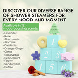 Shower Steamers Aromatherapy Advent Calendar 2024 Adult, Christmas Calendar Countdown 24pc Shower Bomb Spa Gift Box Stocking Stuffer for Women Self Care Kit