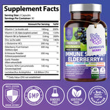 2 Pack N1N Premium 10 in 1 Immune Support Supplement [10 Potent Ingredients] with Elderberry, Vitamin C, Zinc, Echinacea, Turmeric Curcumin, Garlic and Probiotics for Adults, 120 Veg Caps