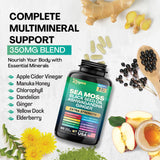 Zoyava Sea Moss 7000mg Black Seed Oil 4000mg Ashwagandha 2000mg Turmeric 2000mg Bladderwrack 2000mg Burdock 2000mg & Ginger Vitamin C Vitamin D3 with Elderberry Manuka Dandelion Yellow Dock Chlorophyll ACV