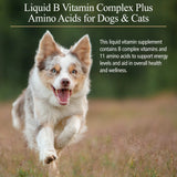 Rx Vitamins Amino B Plex for Pets - B Vitamin Complex Plus Amino Acids for Dogs & Cats - Vitamin Supplements for Dogs' & Cats' Total Body Support - 4 oz