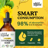 Organic Dandelion Root Liquid Extract - Dandelion Root Tincture - Vegan, Alcohol Free Dandelion Root Drops Supplements - Taraxacum Officinale - 4 fl oz
