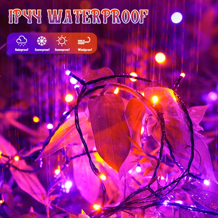 JMEXSUSS Orange and Purple Solar Halloween Lights, 2 Pack Each 100 Led Solar String Lights Outdoor Waterproof for Halloween Tree Christmas Decoration