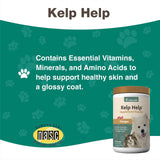NaturVet Kelp Help Plus Omegas Skin and Coat Supplement for Dogs and Cats, Powder, Made in The USA with Globally Source Ingredients 1 Pound
