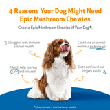 Pet Wellbeing Epic Mushroom Chewies for Dogs - Vet-Formulated - Immune Support, Cognitive Health, Adaptogenic Stress Support with Reishi, Chaga, Lion's Mane Medicinal Mushrooms - 90 Soft Chews