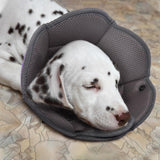 IDOMIK Dog Cone for Dogs After Surgery, Comfy Soft Dog Cones for Large Medium Small Dogs Cats, Adjustable Protective Dog Recovery Collars & Cones Alternatives to Prevent Pets from Licking Wounds,M