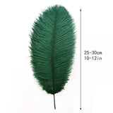 Ballinger Blackish Green Ostrich Feathers Bulk- 24pcs 10-12inch for Wedding Party Centerpieces Christmas Decor