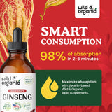 Wild & Organic Korean Red Panax Ginseng Liquid Extract - Ginseng Root Drops - Red Ginseng Tincture Complex - Vegan, Alcohol Free Supplement - 4 fl oz