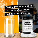 Santa Cruz Paleo Creatine Powder, Supports Muscle Growth, Gluten Free, Keto, Sugar Free, Paleo, No Fillers or Additives, Creatine Monohydrate Powder 5g per Serving, 80 Servings, 400g